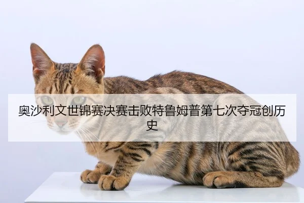 奥沙利文世锦赛决赛击败特鲁姆普第七次夺冠创历史